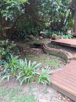 a garden with a bench and some plants at Timeless at Rusticana in Klapmuts