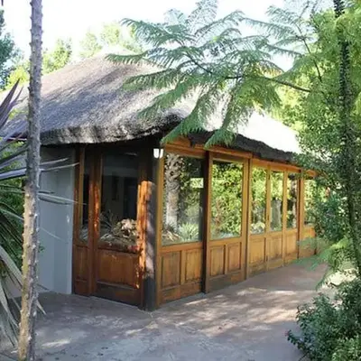Timeless at Rusticana