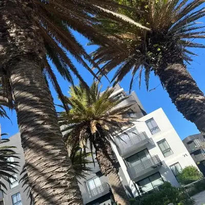 Nine Palms Studio Unit Block 2