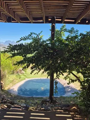 a tree in front of a swimming pool at Avondrood Mountain House in Rawsonville