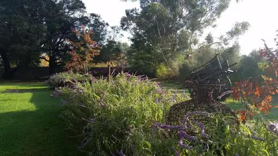 a metal bench in a garden with flowers at Simondium's Country Lodge in Simondium