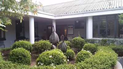 two birds standing in a garden in front of a house at Simondium's Country Lodge in Simondium