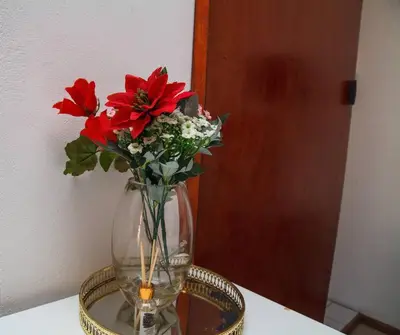 a vase with red flowers in it on a table at Fully Furnished Room and en-suite in Cape Town