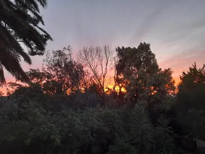 a sunset in the sky with trees in the foreground at Mistys Studio Durbanville in Durbanville