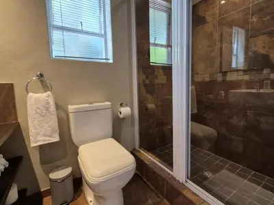 a bathroom with a toilet and a shower at Mistys Studio Durbanville in Durbanville