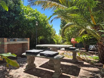 two stone benches in a garden with a palm tree at Mistys Studio Durbanville in Durbanville