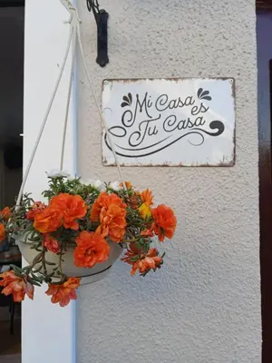 a flower pot hanging on a wall with a sign at Stylish Studio in Tableview Stay in Cape Town