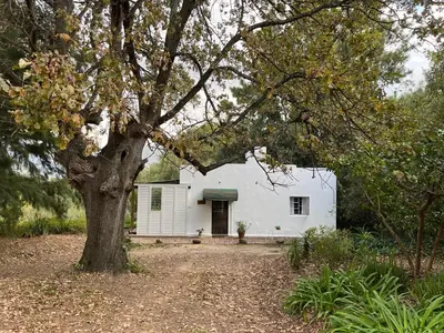 a white house with a tree in front of it at William's Cottage in Franschhoek