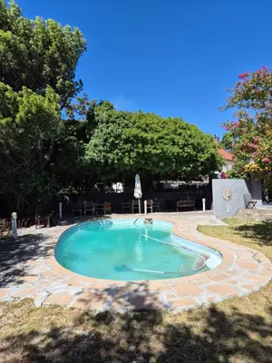 a small swimming pool in a yard with trees at Pine House - self-catering in Cape Town