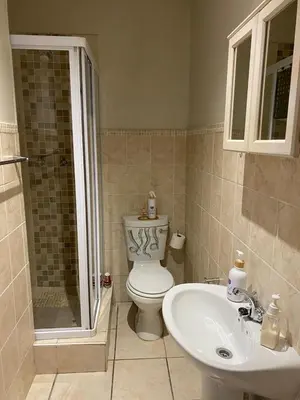 a bathroom with a toilet and a sink and a shower at Salt & Cellar - Paarl - Self Catering Apartment in Paarl