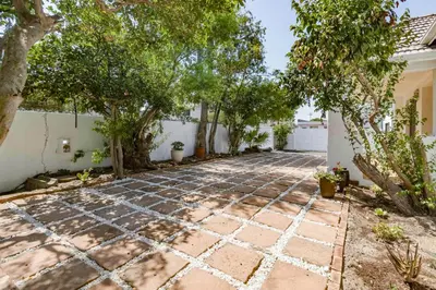 a courtyard with trees and a stone walkway at Spacious Claremont Home with Pool Fireplace in Cape Town