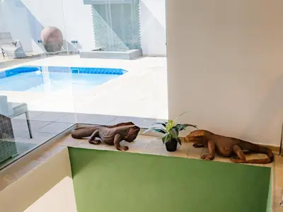 two stuffed animals sitting on a ledge next to a pool at Cape Joy - BRAND NEW luxury villa just rolled out in Cape Town, Plattekloof in Plattekloof