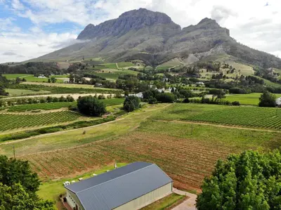 an aerial view of a farm with a mountain in the background at Le Pommier Wine Estate in Stellenbosch