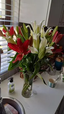 a vase filled with red and white flowers on a counter at Sozo - our place at the ocean in Gordonʼs Bay