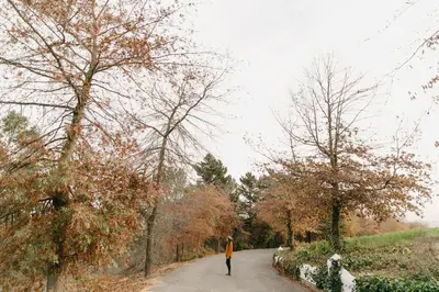 a person walking down a road with trees at Zevenwacht Cottages in Kuilsrivier