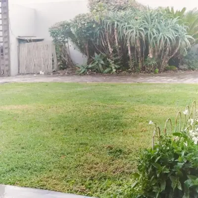 a yard with green grass and some plants at Spacious Shared 3-Bedroom Villa Near Bloubergstrand Beach with Pool & Free Wi-Fi in Cape Town