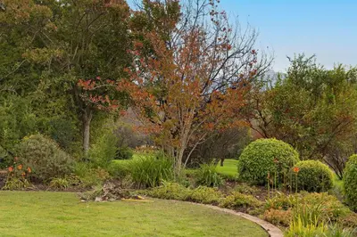a garden with trees and bushes and a walkway at Winelands Golf Lodges 5 in Stellenbosch