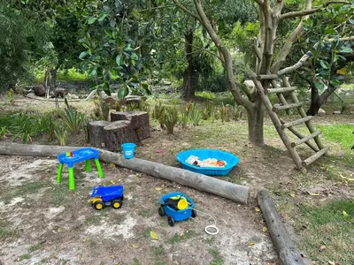 a group of toys in a yard with a tree at Nature Lover's Home in Grabouw in Grabouw