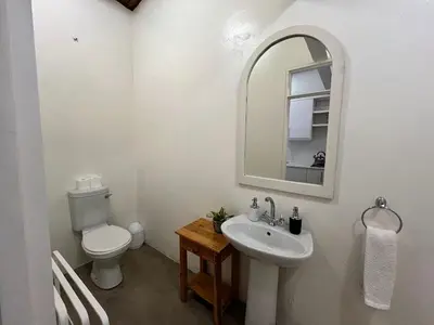 a bathroom with a toilet and a sink and a mirror at Avignon Guesthouse in Worcester