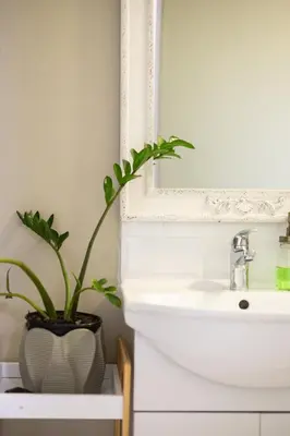 a bathroom with a sink and a potted plant at 44 on Mountain Drive in Hermanus