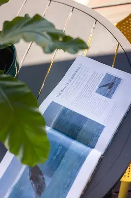 a paper on a table with a plant at Mountain-View Studio - Hermanus Waterfront Apartments in Hermanus