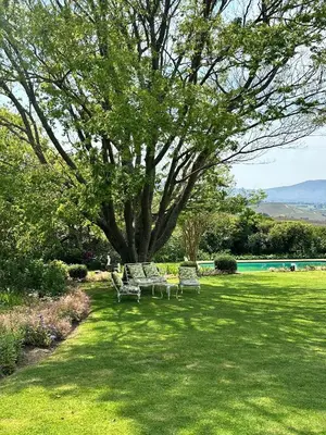 a group of chairs sitting in the grass under a tree at Rose Cottage, Elgin Grabouw in Grabouw