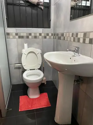 a bathroom with a white toilet and a sink at Ludiz guest house in Parow