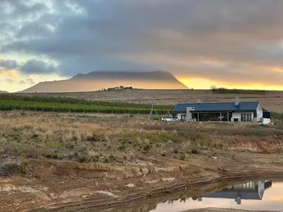 a house in a field with a mountain in the background at Hermanus - Escape Wines - House on Wine & Protea farm in Lake Marina