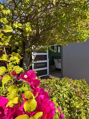 a group of pink flowers in front of a tree at Jacana Lodge Zeekoevlei in Lotus River
