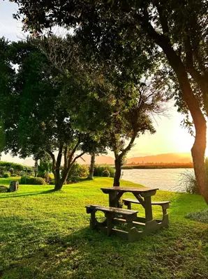 a picnic table and bench next to a lake at Jacana Lodge Zeekoevlei in Lotus River