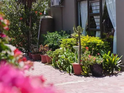 a garden of plants and flowers on a sidewalk at Julinas Guesthouse in Panorama
