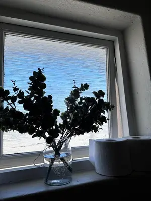 a plant in a vase sitting on a window sill at Courtyard Hideaway in Kenridge