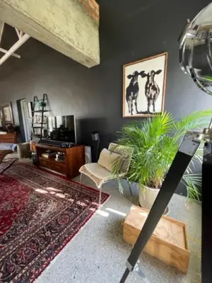 a living room with a couch and a plant at Helder Haven Cottage in Somerset West