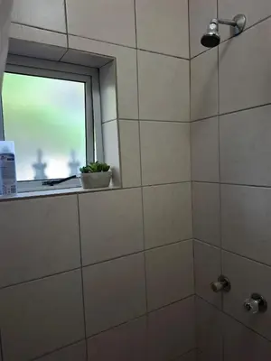 a bathroom with a shower with a window and a plant at Chez Yves in Hoheizen