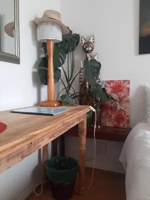 a table with a lamp and a plant on it at Cosy Stay - Homestay with Linda & Garfield in Gordonʼs Bay