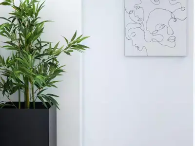 a plant in a black vase next to a painting at Atticus Self Catering Accommodation in Cape Town