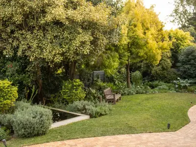 a park with a bench in the middle of a garden at 5 Rembrandt Guesthouse in Somerset West