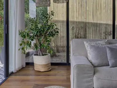 a living room with a couch and a potted plant at Lily Pond in Worcester