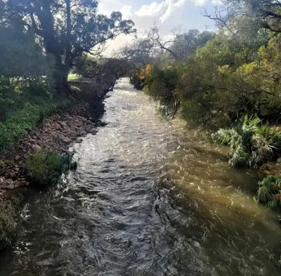 a river with rocks and trees on the side at River Front in Stellenbosch