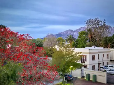 a view of red flowers in front of a building at FamoHof Apartments in Stellenbosch
