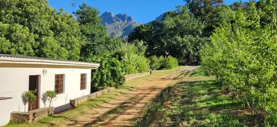 a dirt road next to a white building and trees at Sunkiss Cottage on Mount Joy Farm in Stellenbosch
