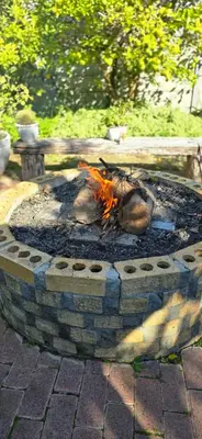 a fire pit with a dead animal in it at Petite Vine in Stellenbosch