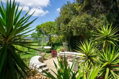 a garden with white benches and plants and trees at The smallest farm in Africa ELGIN in Grabouw