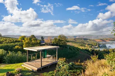 a house on top of a hill with a view at The smallest farm in Africa ELGIN in Grabouw