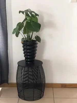 a plant in a black vase sitting on a table at Brackenfell self catering accommodation in Brackenfell