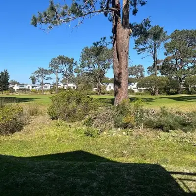 Golfers paradise on 25th green
