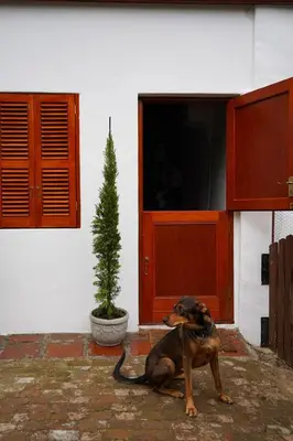 a dog sitting in front of a house at The Little Gallery in Villiersdorp