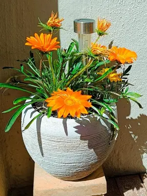 a white vase with orange flowers in it at Entire 2 Level Townhouse in Backenfell Cape Town in Brackenfell