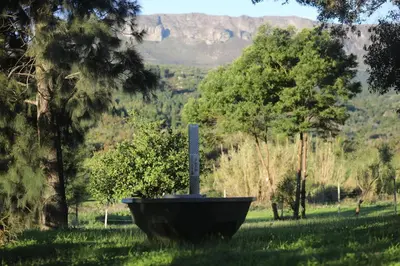 a statue in the grass with a mountain in the background at Calais Wine Estate in Paarl