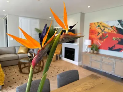 a vase with colorful flowers in a living room at Luxury Home in Security Golf Estate with Ocean Terrace in Cape Town